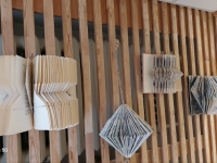 Baltos lankos, juodos avys, kas išmano, tas jas gano