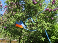 Darželis puošiasi vasarai
