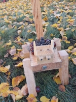 Gamtamokslinė paroda "Girinukai-Medinukai"