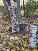 Gamtamokslinė paroda "Girinukai-Medinukai"
