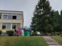 Kurmio Zigmo kelionė po pasaulį