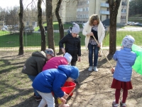 Pagarba Žemei