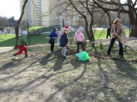 Pagarba Žemei