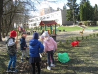 Pagarba Žemei