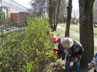 Pagarba Žemei