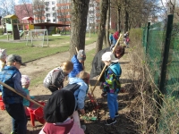 Pagarba Žemei