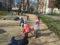 Pagarba Žemei