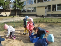 Pagarba Žemei