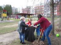 Pagarba Žemei