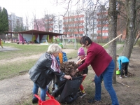 Pagarba Žemei