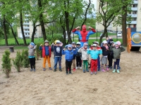 Voro tinklas