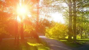 images_(1)