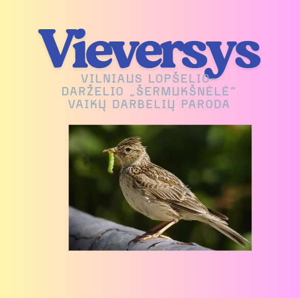 vaizdas_2026-03-02_211307026