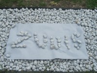 JŪROS ŠVENTĖ "ŠERMUKŠNĖLĖJE"