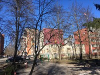 40-ties paukščių diena