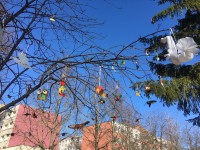 40-ties paukščių diena
