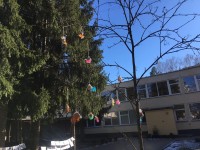 40-ties paukščių diena
