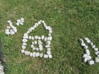 Akmenukų ir medžio pasakėlės