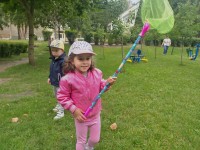 Didieji tyrinėtojai