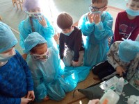 Edukacija apie gydytojo darbą