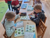 Edukacija apie kario profesiją