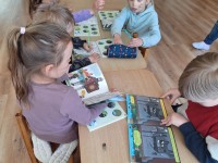 Edukacija apie kario profesiją