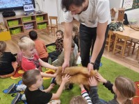 Edukacija apie žvėrelius