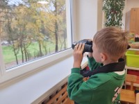 Edukacija apie žvėrelius