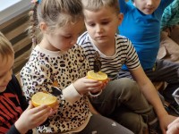 Edukacija „Gyvi tropiniai drugeliai“
