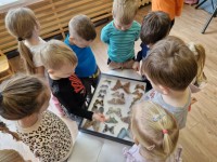 Edukacija „Gyvi tropiniai drugeliai“