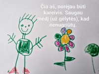 Edukacija „Lietuvos kariuomenė“