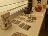 Edukacija „Sveikatinanti arbatėlė“