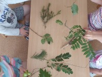 Edukacinė veikla ,,Medis – mano draugas“