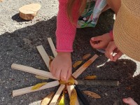 Edukacinė veikla ,,Medis – mano draugas“