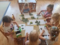 Edukacinė veikla ,,Medis – mano draugas“