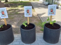 Edukacinės valandėlės