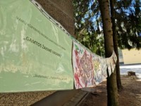 „Gamtos žaismė vasarą“