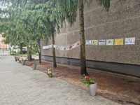 „Gamtos žaismė vasarą“