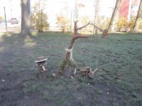 GIRINUKŲ FIESTA