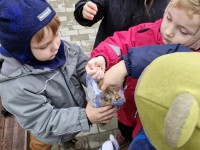 Iniciatyva „Paukštelių globa žiemą“