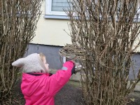 Iniciatyva „Paukštelių globa žiemą“