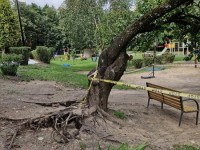 Iniciatyva „Šermukšniukai į pagalbą“