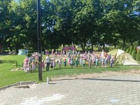 Joninių savaitė