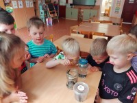 Juda, kruta, kas tik gyvas....