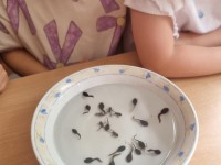 Juda, kruta, kas tik gyvas....