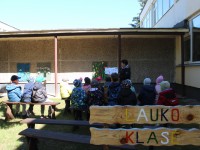 Lauko klasė