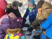 Ledų gaminimo edukacija