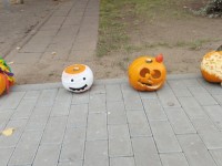 Linksmieji moliūgai
