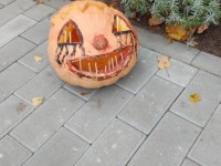 Linksmieji moliūgai