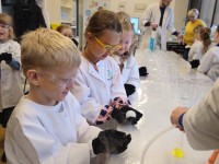 „Mėgintuvėlis LT“ laboratorija